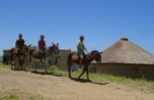 Donkeys are a common mode of transport in the Transkei region